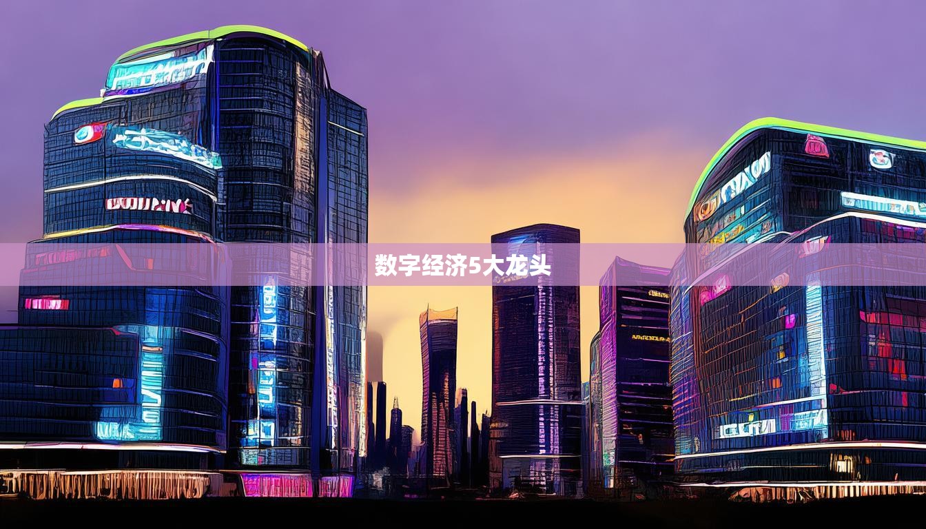 數(shù)字經(jīng)濟(jì)5大龍頭